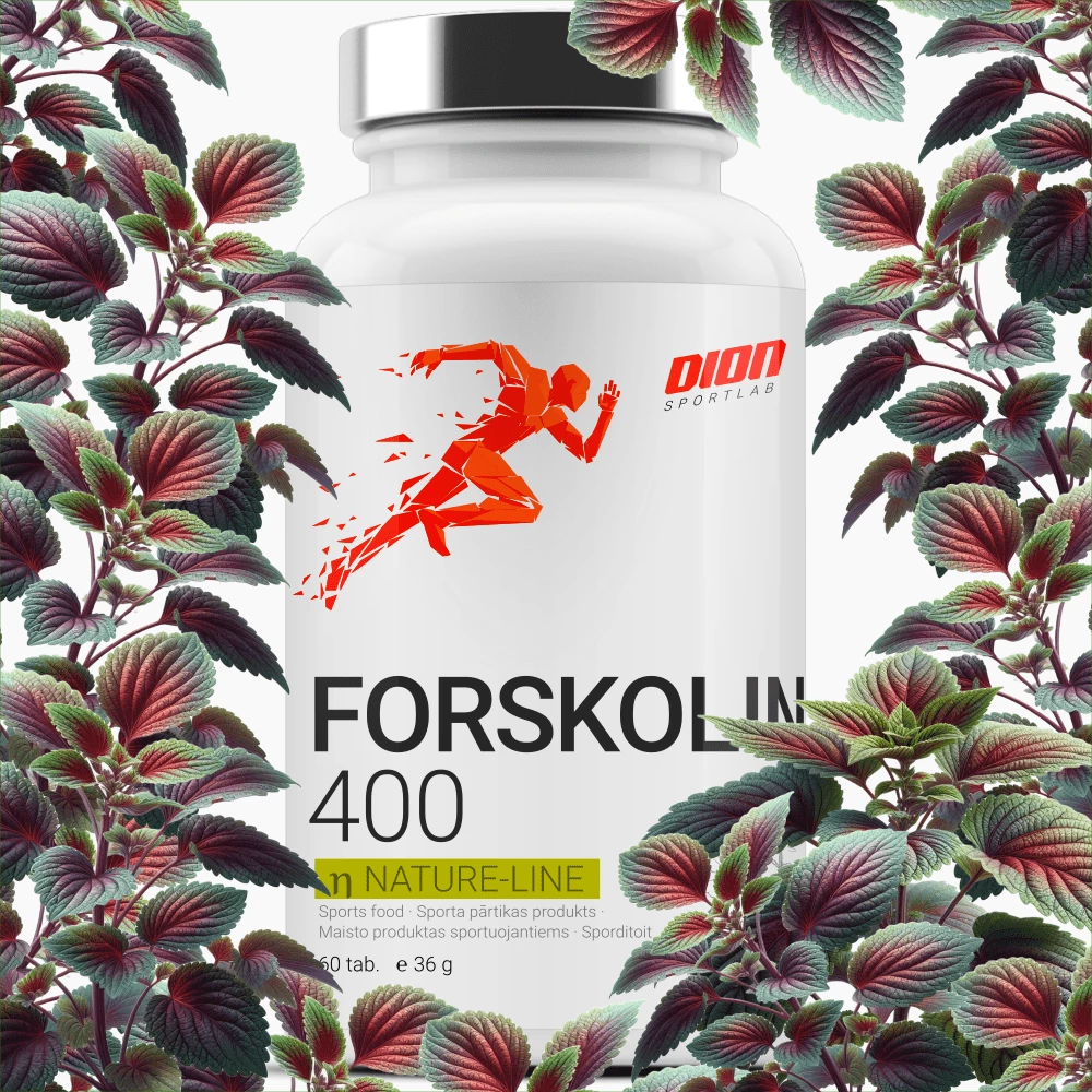 FORSKOLIN 400